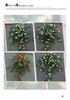 Artificial Rose Vine Wall Hanging for Indoor Decoration