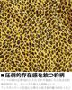 Quintet Leopardtryck Kort Aloha Tillverkad i Leopard Öppen Krage Skjorta, Ärm, Herrskjorta, Japan, Rock/Punk, Tryck, 11-70537 (L)