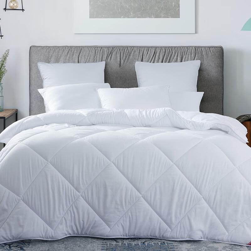 Mengjie Exquisite Iodine All-Season Quilt 200cm*230cm