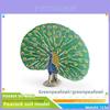 Wild Bird Peafowl Model For Children Educational Toy With Pvc Material