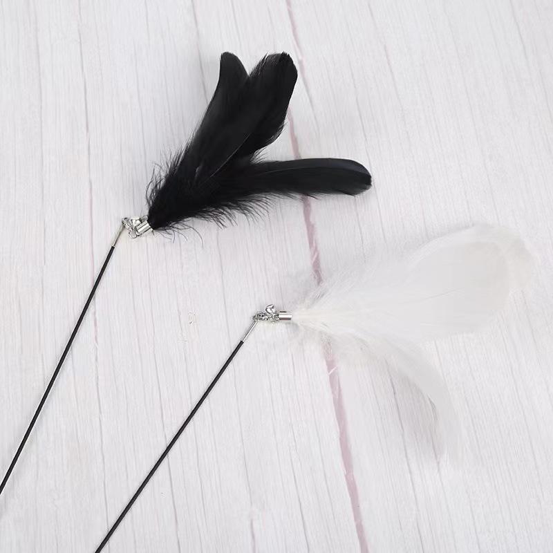 Cat Teaser Stick with Bells & Feather Replacement Heads