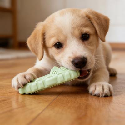 Slipper Dog Chew Toy Bite Resistant Boredom Stress Relief Fishbone Texture Shoes Dogs Teething Cleaning Toy Pet Supplies