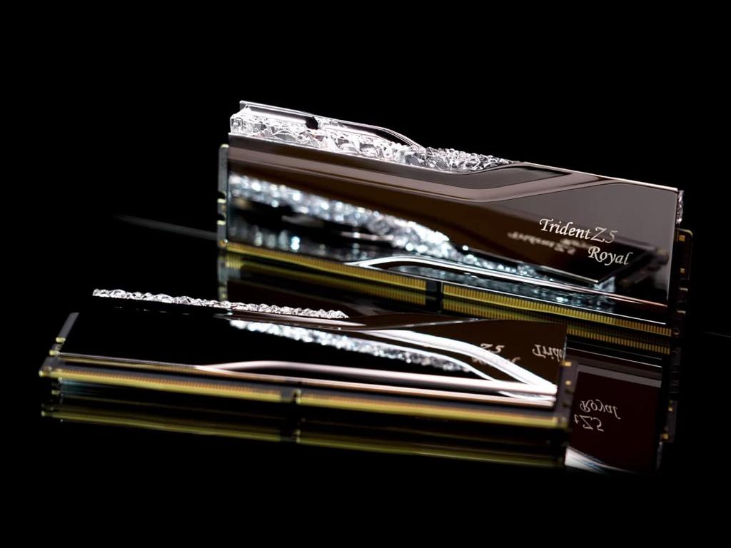 DDR5 Speicher 32GB Kit x mit OVERCLOCK WORKS Exklusiv-Bonus-Aufkleber für Trident Z5 ROYAL RGB G.Skill DDR5-7600 (2 16 GB) F5-7600J3646G16GX2-TR5S