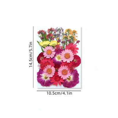 Decorazioni per la casa