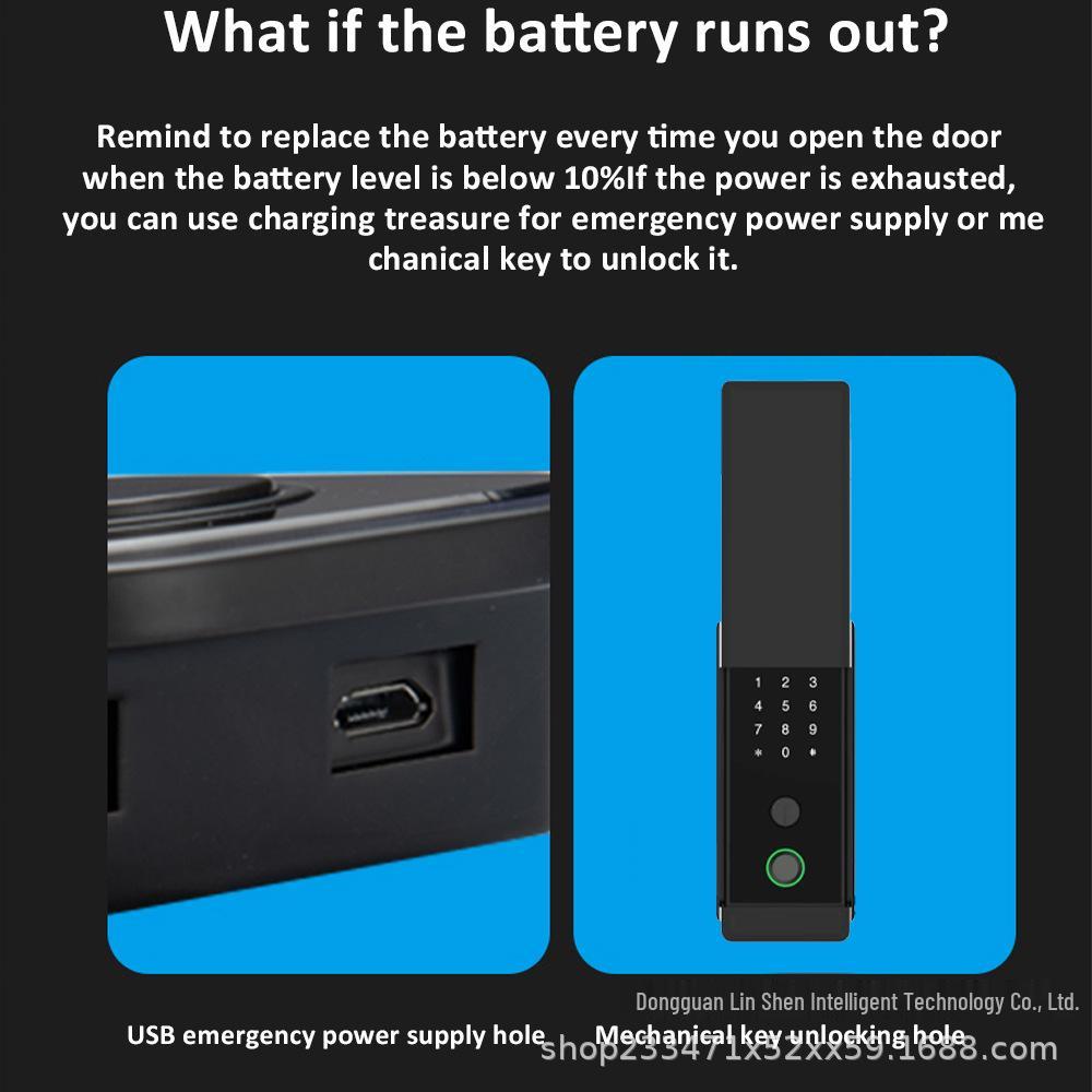 Bull Head Double-Sided Waterproof Graffiti Smart Lock with Passcode & Fingerprint for Iron Gates and Apartments.