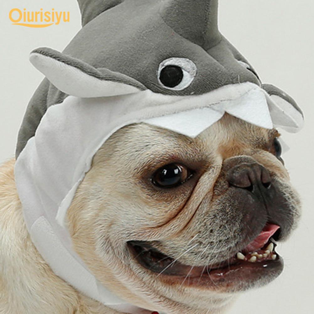 dog shark hat