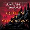 Queen of Shadows by Sarah J. Maas Hardback Book 9781639731008