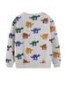 Boys' Dinosaur Pullover Round Neck Hoodie - European & American Style