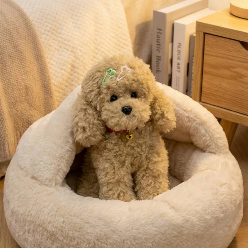 Soft Stuffed Animal Pet Dog 30/35/40cm Medusa Sitting Posture Teddy Dog Plush Toy Simulated Curly Teddy Dog Kid Birthday Gift