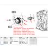 Transmission Oil Cooler Filter O-Ring Kit For 2013-15 Honda Accord 25560-5C4-003
