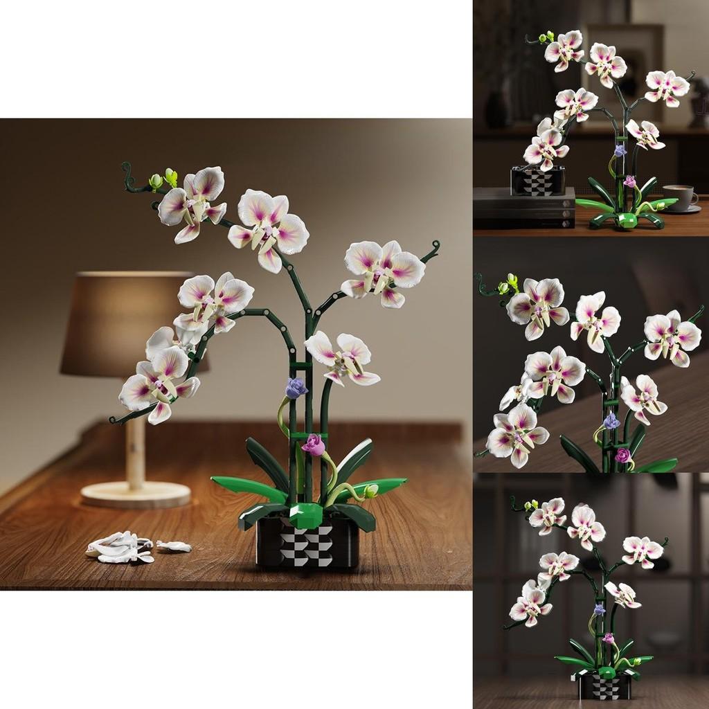 Cymbidium Building Block Toy With Abs Plastic For Children Diy Creative Play Gift