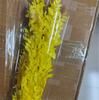 Rich Noble Leaf Dried Panda Bamboo Flowers - Photography Props for Weddings, Living Room, or Hotel Decorations