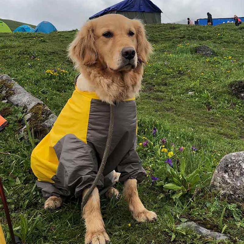 Haustier großer Hund Regenmantel im Freien wasserdichte Kleidung mit Kapuze Overall Mantel für kleine große Hunde Overalls Regenmantel Labrador