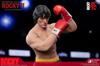 Star Ace Toys Figure Rocky Balboa Deluxe Version Collectible Action Figure 1/6 (Boxer Style)