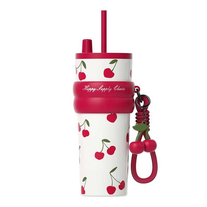 Portable Insulated Straw Mug with Ceramic Liner