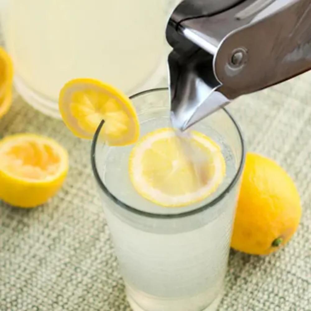 Manual Bird Shape Lemon Clip Round Orange Squeezer 304 Stainless Steel Fruit Juicer  Pomegranate
