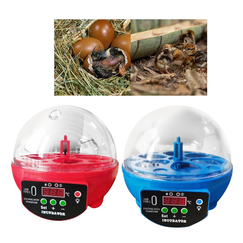 USB Egg Incubator Automatic Chick Incubator with LED Light Egg Display Small Egg