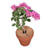 1Pc Natural Coconut Fiber Tree Mulch Mat Cover Protector 20/30/35/40Cm Flower Pot Disc Pad Weed Control Warm Moisture Cushion