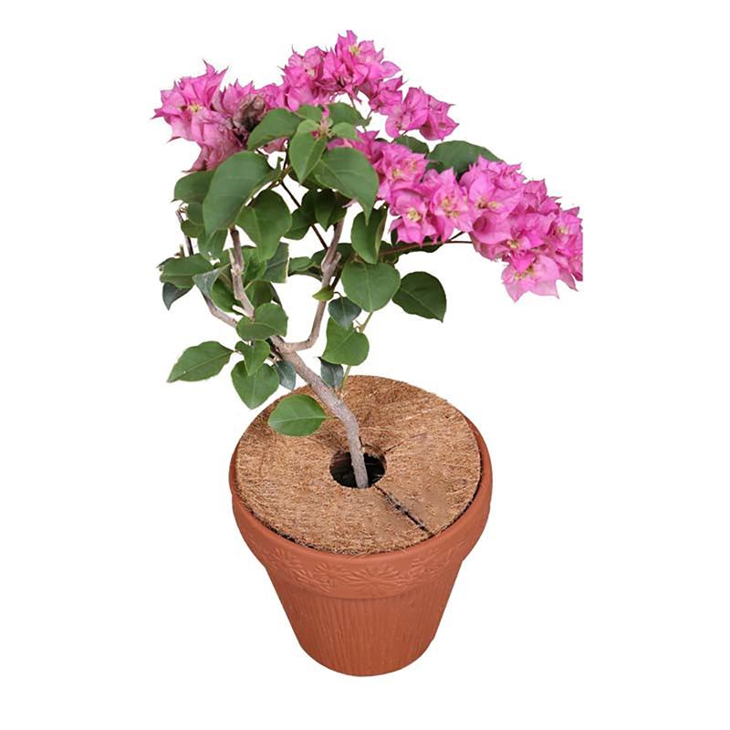 1Pc Natural Coconut Fiber Tree Mulch Mat Cover Protector 20/30/35/40Cm Flower Pot Disc Pad Weed Control Warm Moisture Cushion
