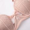 French Underwear Women's Thin Cotton Rabbit Ears Soft Steel Ring Sexy Bra Hollow Lace Transparent Gathering Underwear Bra