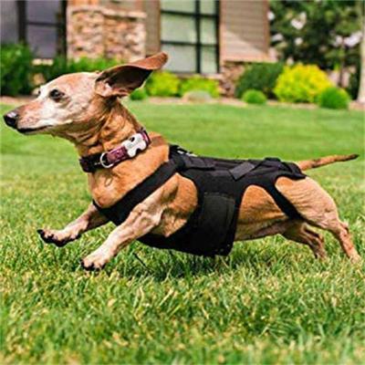 Adjustable Dog Back Brace –Relief Support for , Helps with Spinal Injury Recovery, Pain Relief, and Post- Rehabilitation