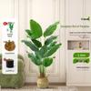 Luxurious Indoor Bionic Bird of Paradise Faux Plant