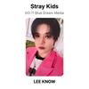 Stray Kids DO IT Blue Dream Media Official Photocard
