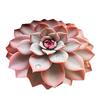 3D Flower Floor Mat Realistic Absorbent Flower Carpet Non-Slip Decorative Area Rug for Living Room Bathroom Kitchen Bedroom