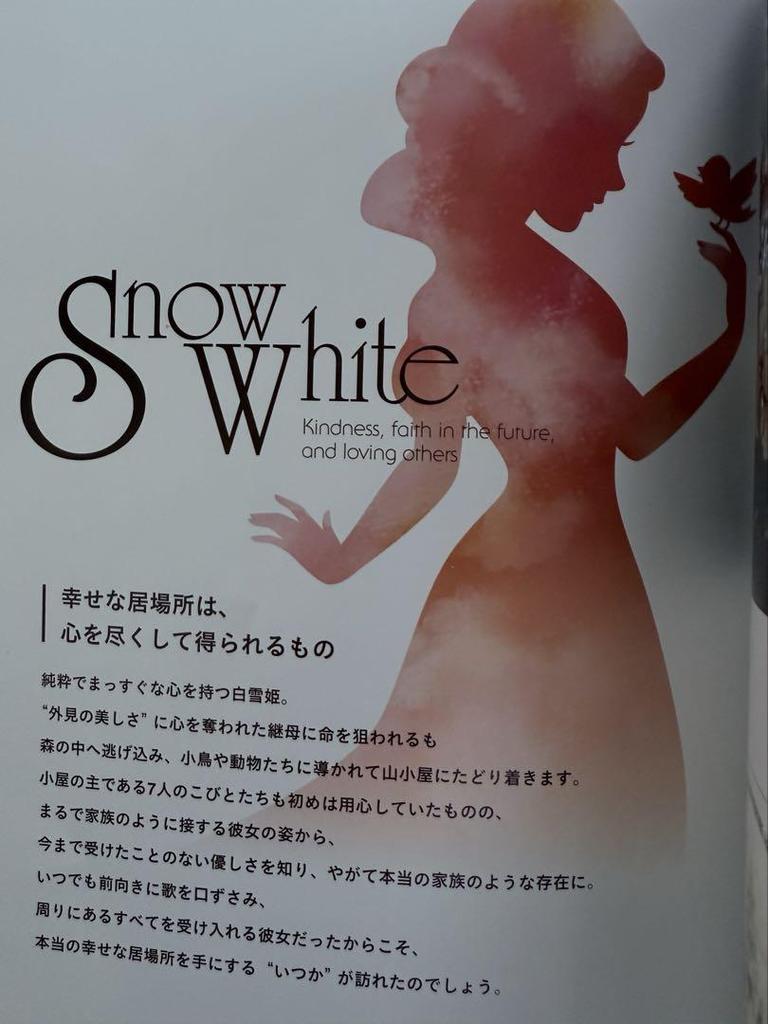 [USED] POWER OF PRINCESS Art Book