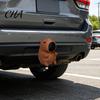 Abschlepphaken-Schutz 3D-gedeckter Capybara-Ball-Deckel, Dekorative Anhänger-Staub-Kupplungsabdeckung, 50mm Abschleppschutz, Wohnmobil-LKW-Zubehör Langlebige Kappe