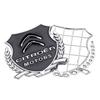 1 pièce 3D Metal Épis de blé Décoration de carrosserie de voiture Autocollant Badge Emblème Pour Citroen C1 C3 C4 Grand Picasso C4L C5 C6 VTS DS Accessoires
