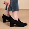 High Heeled Single Shoes Autumn New Pointed Toe Deep Mouth Suede Slip-on Non-Slip Block Heel Shoes