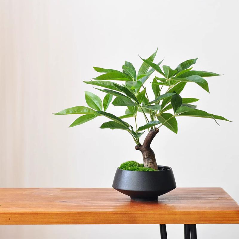 Simulation fake tree bonsai home living room Chinese sand table hotel porch landscaping decoration green plant ornaments