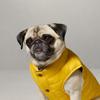 Ralph Lauren Dog Puffer Jacket Hmpogfthr920013710