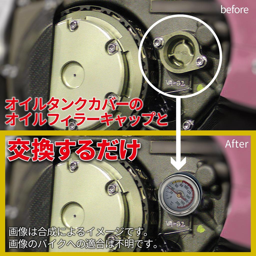 LISPHOS General Purpose Motorcycle Temp Meter Zephyr ZRX Barrios Analog