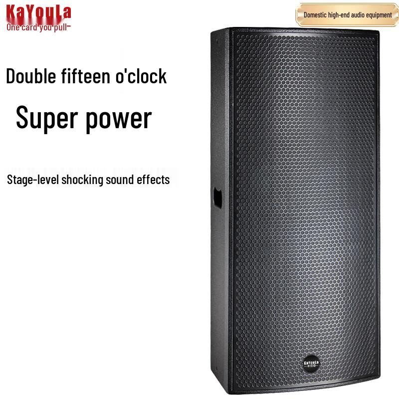 Kayola L215 Dual 15-inch Full-range Conference Speaker (CN Version)
