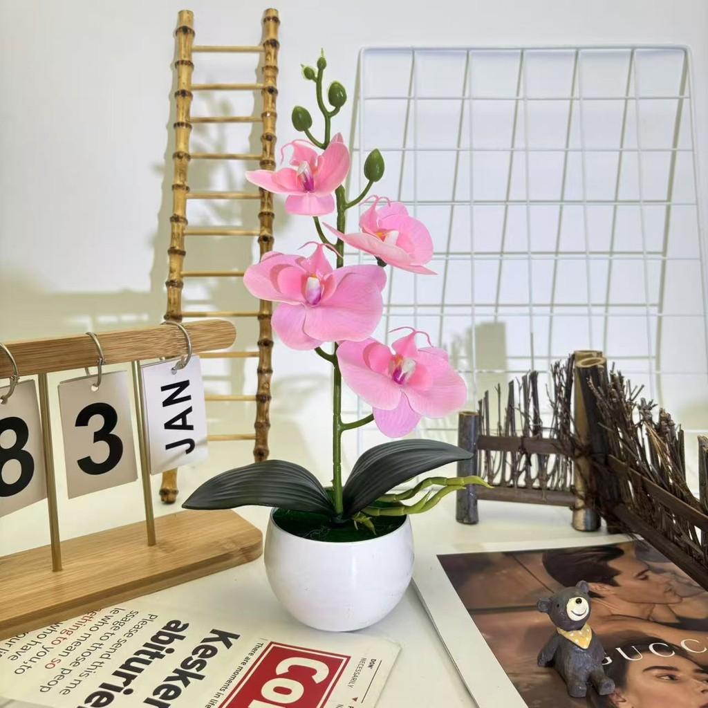 

Basin Phalaenopsis Artificial Potted Plant For Home Office Wedding Decoration Rose