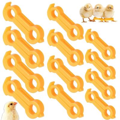 12pcs Chick Leg Correction Chick Spreader Leg Support