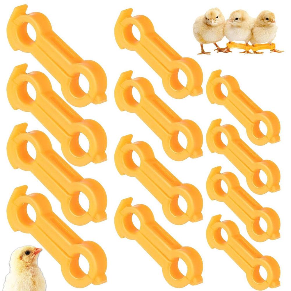 12pcs Chick Leg Correction Chick Spreader Leg Support