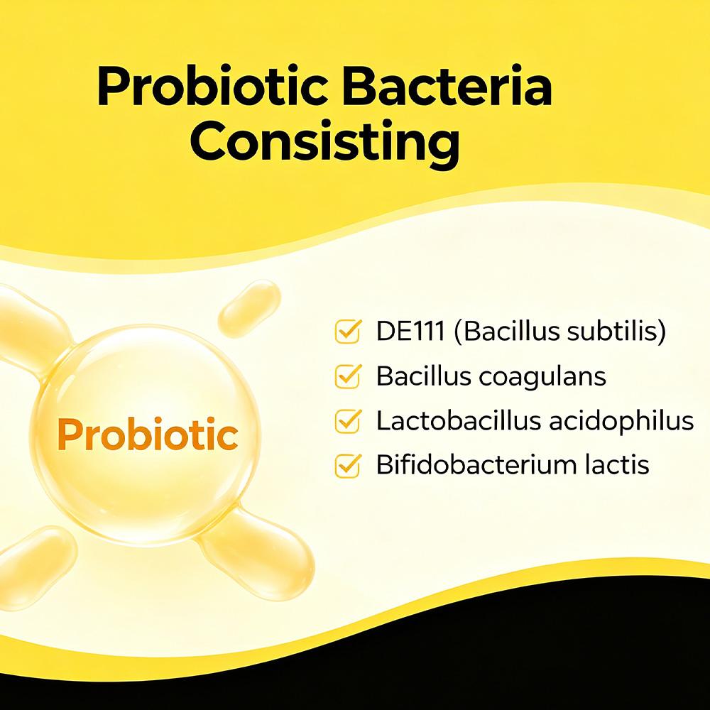 Probiotic and prebiotic capsules, each containing 4.4 billion CFU of live bacteria, 120 capsules.