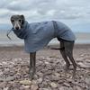 Wasserdichte Hundekleidung Haustier Hundeponcho Regenmantel Große Hunde Regenmantel Haustiere Hunde Zubehör Windjacke Kleidung Produkt Zubehör