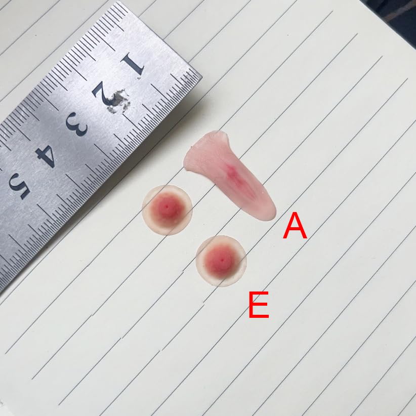 1/4 Scale Female Silicone Breast Patch Nipple Prop (1 Pair), Female Private Parts for 18-inch Action Figure Body Doll Body Accessory (AE Style)