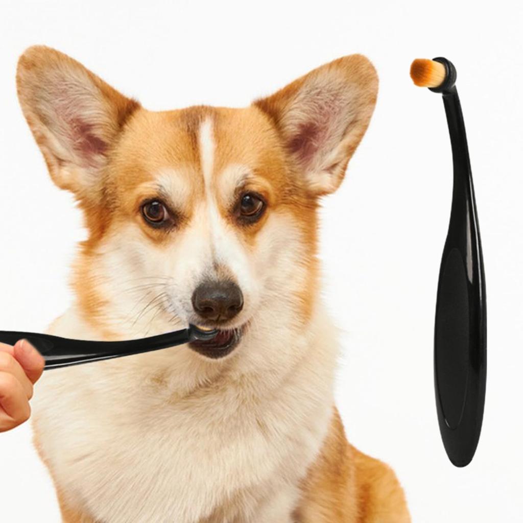 Pomůcka pro péči o domácí mazlíčky Kartáček na odtrhávání mazlíčků Pohodlná rukojeť Šetrný nástroj pro péči o psy Snadné použití Měkké jemné chlupy Snadno se čistí Potřeby pro domácí mazlíčky Černá