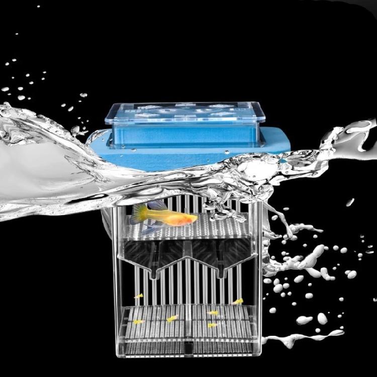Acrylic Fish Breeding Box for Hatchery and Isolation for Aquariums Breeding Box Double Layer