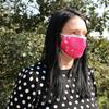 Reusable Face Mask With Filter, Pink Hearts Adult