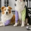 Anti-Lick Dog Knee Brace Warmth Pet Front Leg Support Easy Wear Dog Knee Pads  Shoulder Support