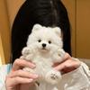 Pink Paws Samoyed Plush Toys Cute Cartoon Soft Samoyed Plush Doll Realistic Fashion Accessories Doll Ornaments