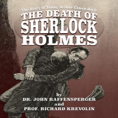 The Death of Sherlock Holmes by Richard Krevolin Paperback Book 9781787059795