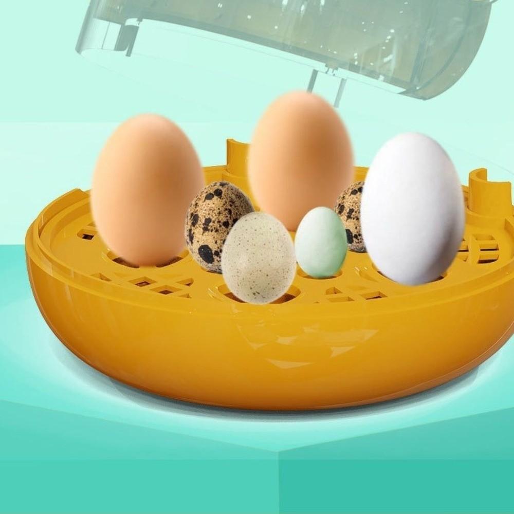 Humidity Control Eggs Hatcher Machine Transparent Window Poultry Hatcher Machine  Chicken Eggs