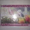 Project Sekai Yoisaki Kanade Carnation Clear File Exhibition